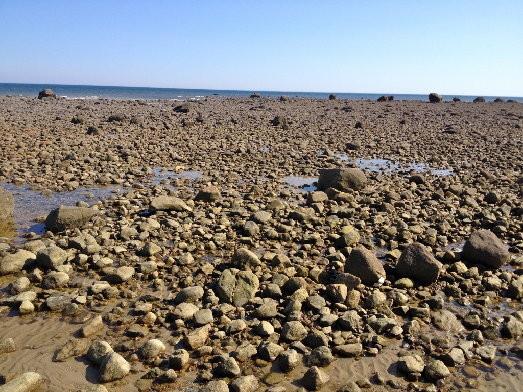 Field of rocks along the bay
