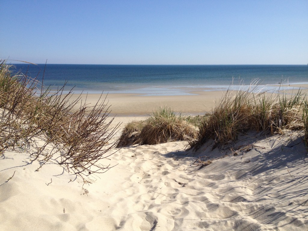Dune bench view