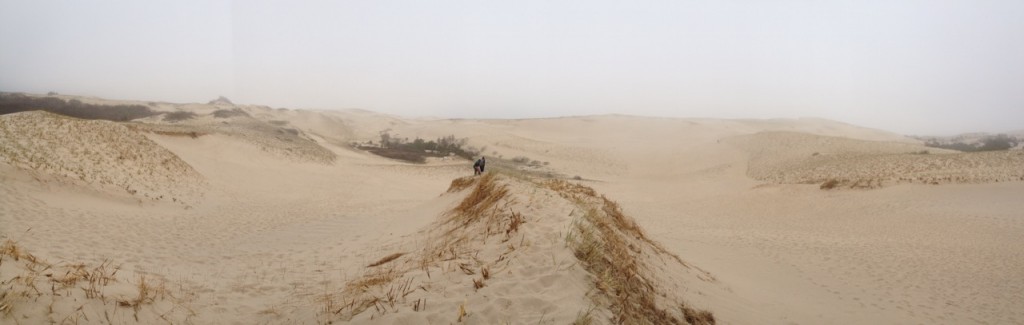 Panoramic dune