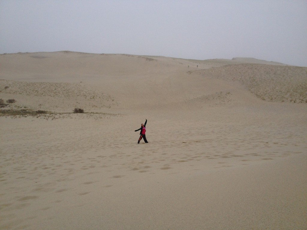 Ceci - dunes