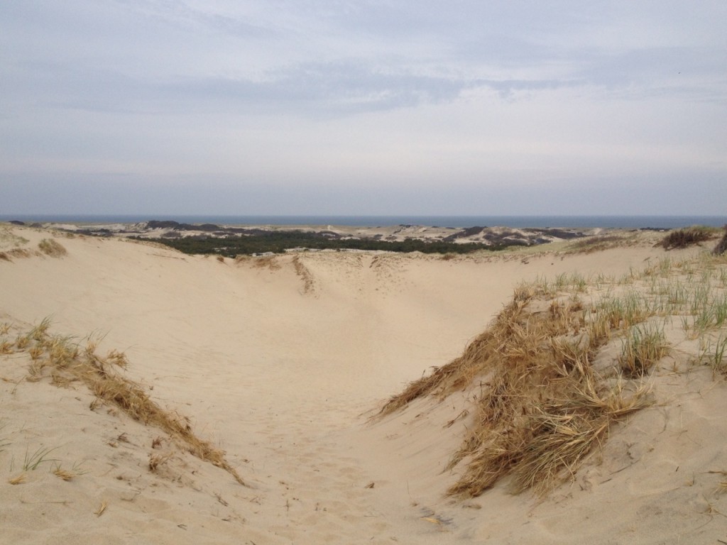 dune bowl